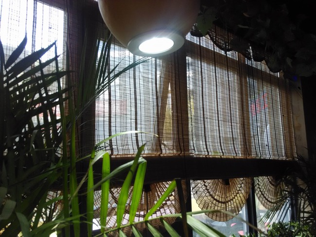 �L(zh��ng)ɳ��